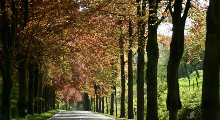 Hotel Altes Zollhaus Naehe Luxemburg Ammeldingen an der Our Zewnętrze zdjęcie